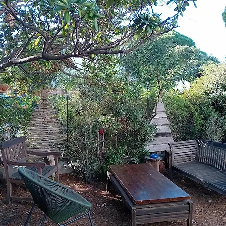 Maison Rustique 100m Du Bord De Mer Holiday home Hyeres