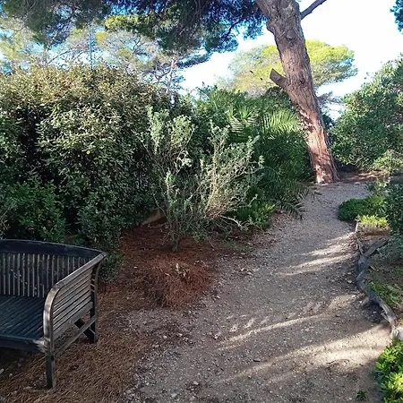 Maison Rustique 100m Du Bord De Mer * Hyères